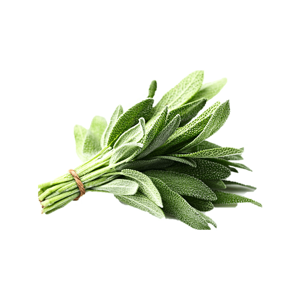Organic Chilli