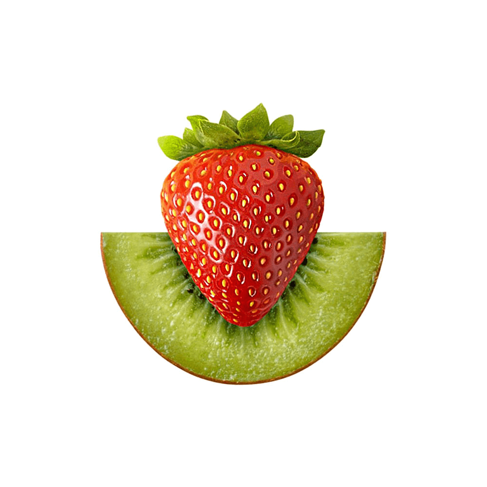 Fusce fermentum