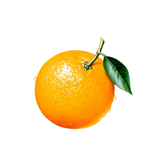 Fusce fermentum