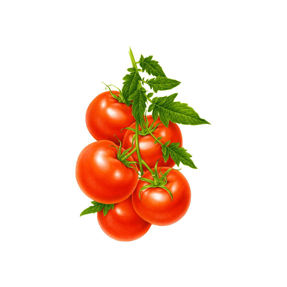 American Orange
