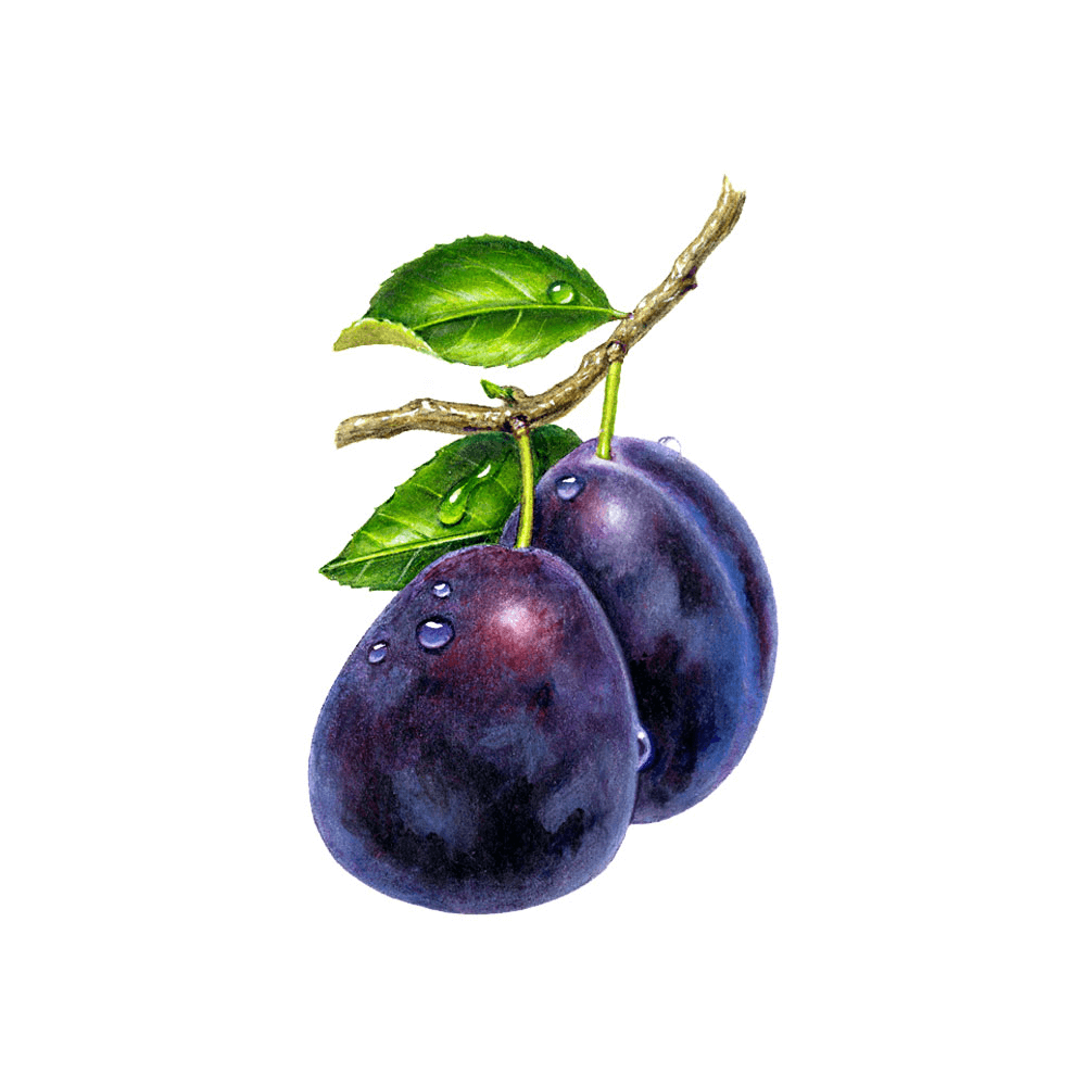 Japanese Strawberry
